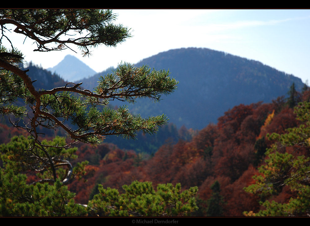 herbstliche Hügellandschaft