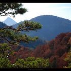 herbstliche Hügellandschaft