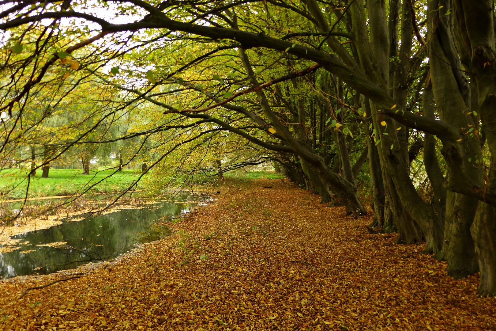 Herbstliche Idylle