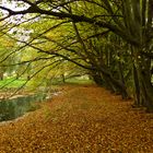 Herbstliche Idylle