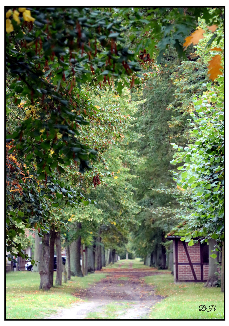 Herbstliche Idylle