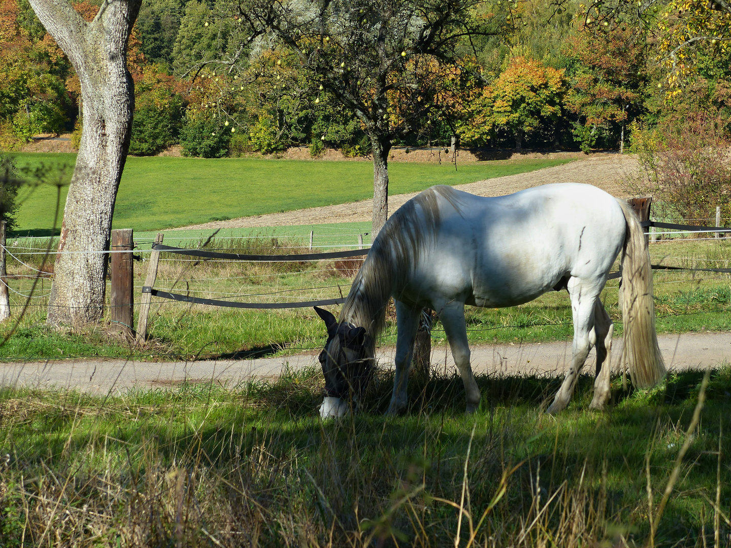 herbstliche Idylle