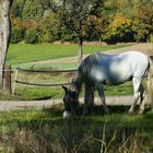 herbstliche Idylle