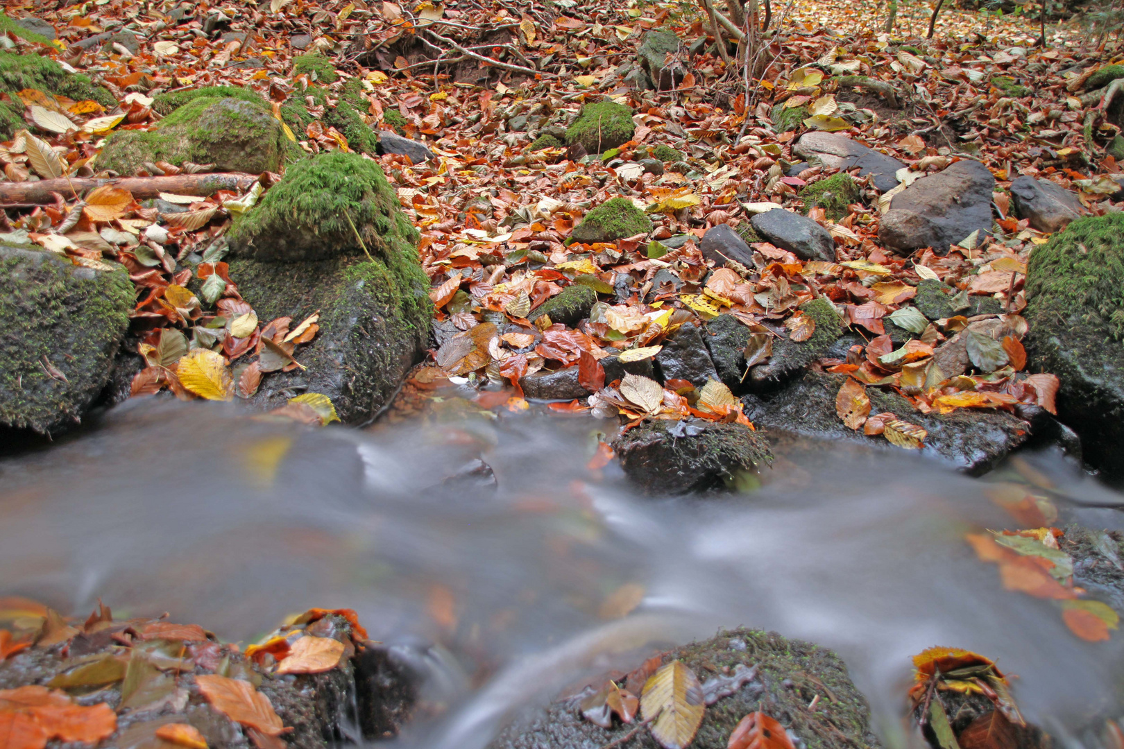 Herbstliche Idylle