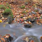 Herbstliche Idylle