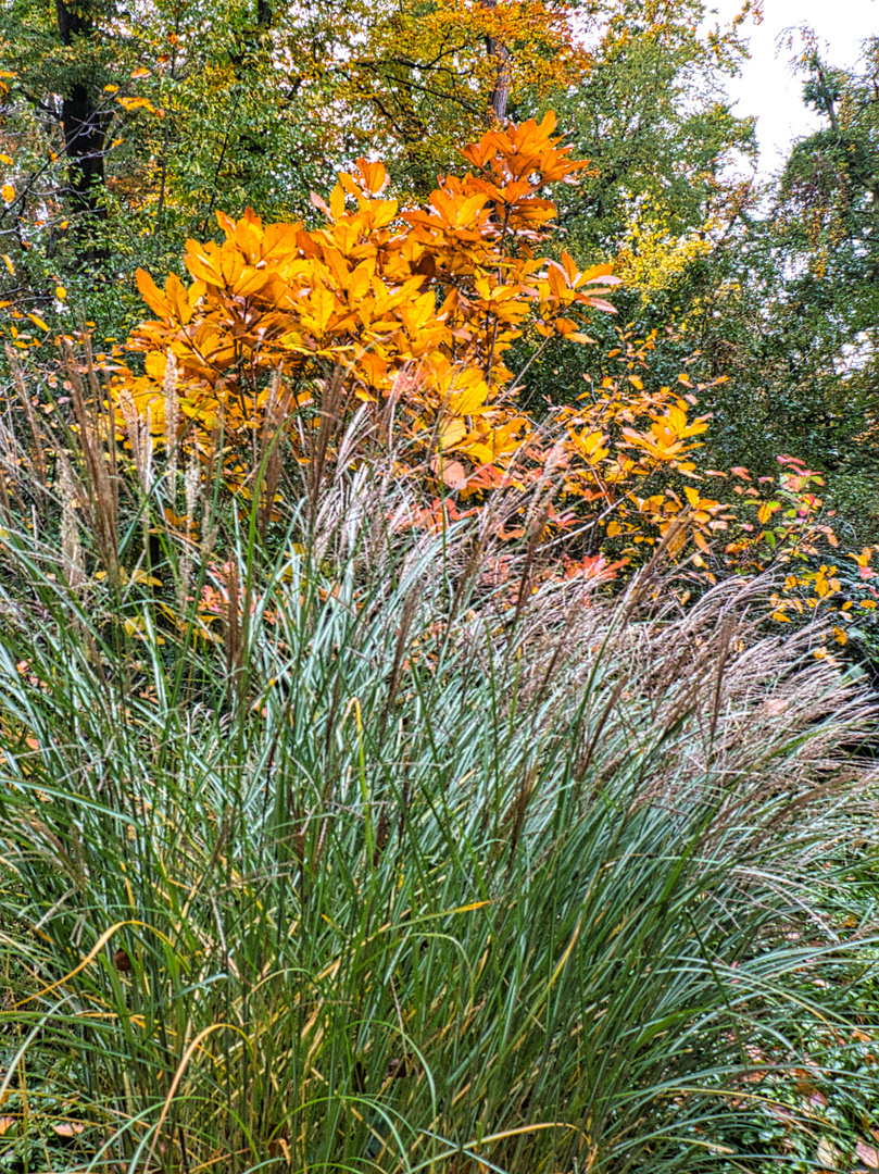 herbstliche Idylle