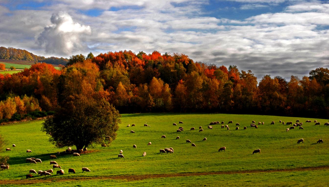 Herbstliche Idylle