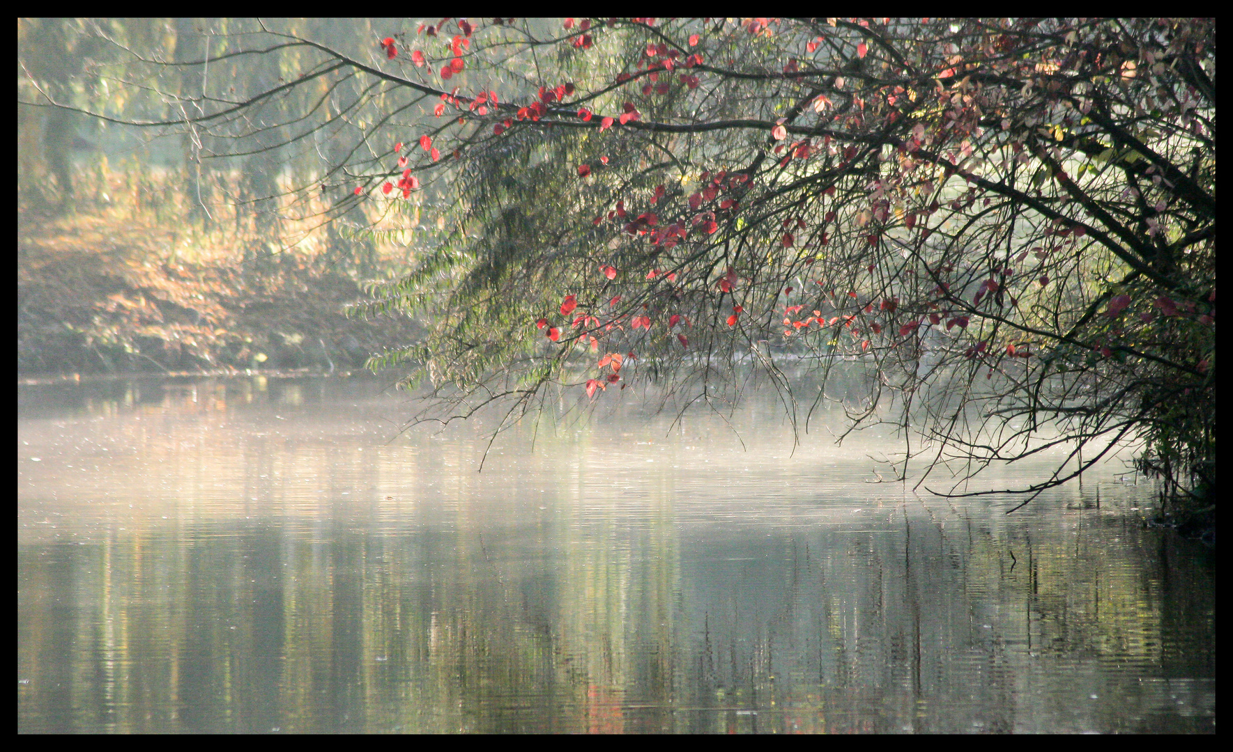 Herbstliche Idylle...