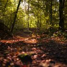 Herbstliche Idylle 