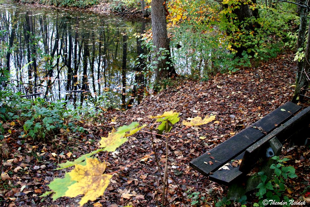  Herbstliche Idylle