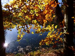 Herbstliche Idylle