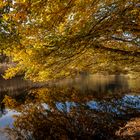 Herbstliche Idylle...