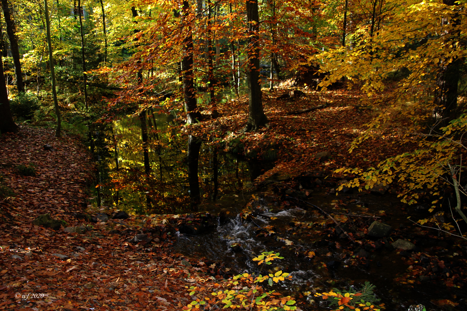 Herbstliche Idylle