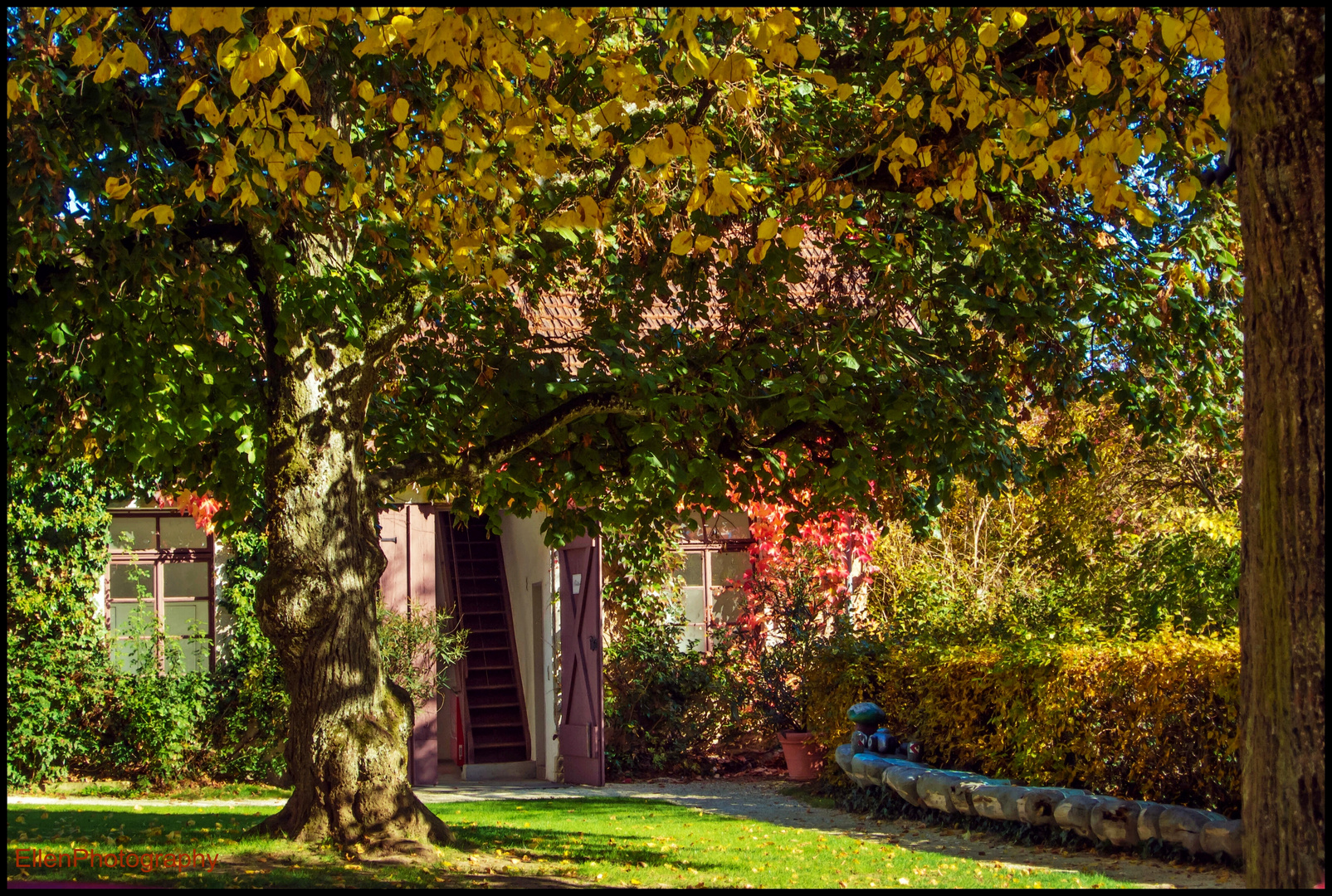 herbstliche Idylle