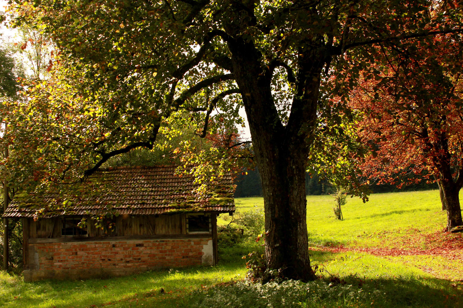 Herbstliche Idylle