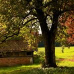 Herbstliche Idylle