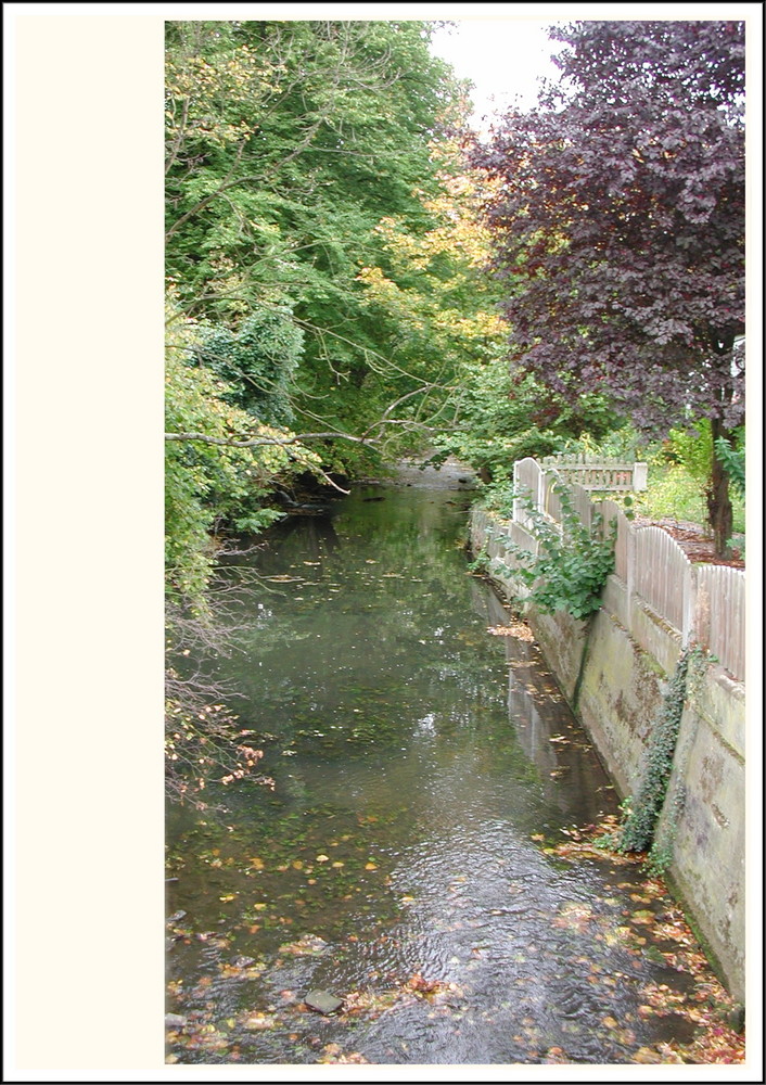 Herbstliche Idylle an der Schunter in Wendhausen bei Braunschweig.