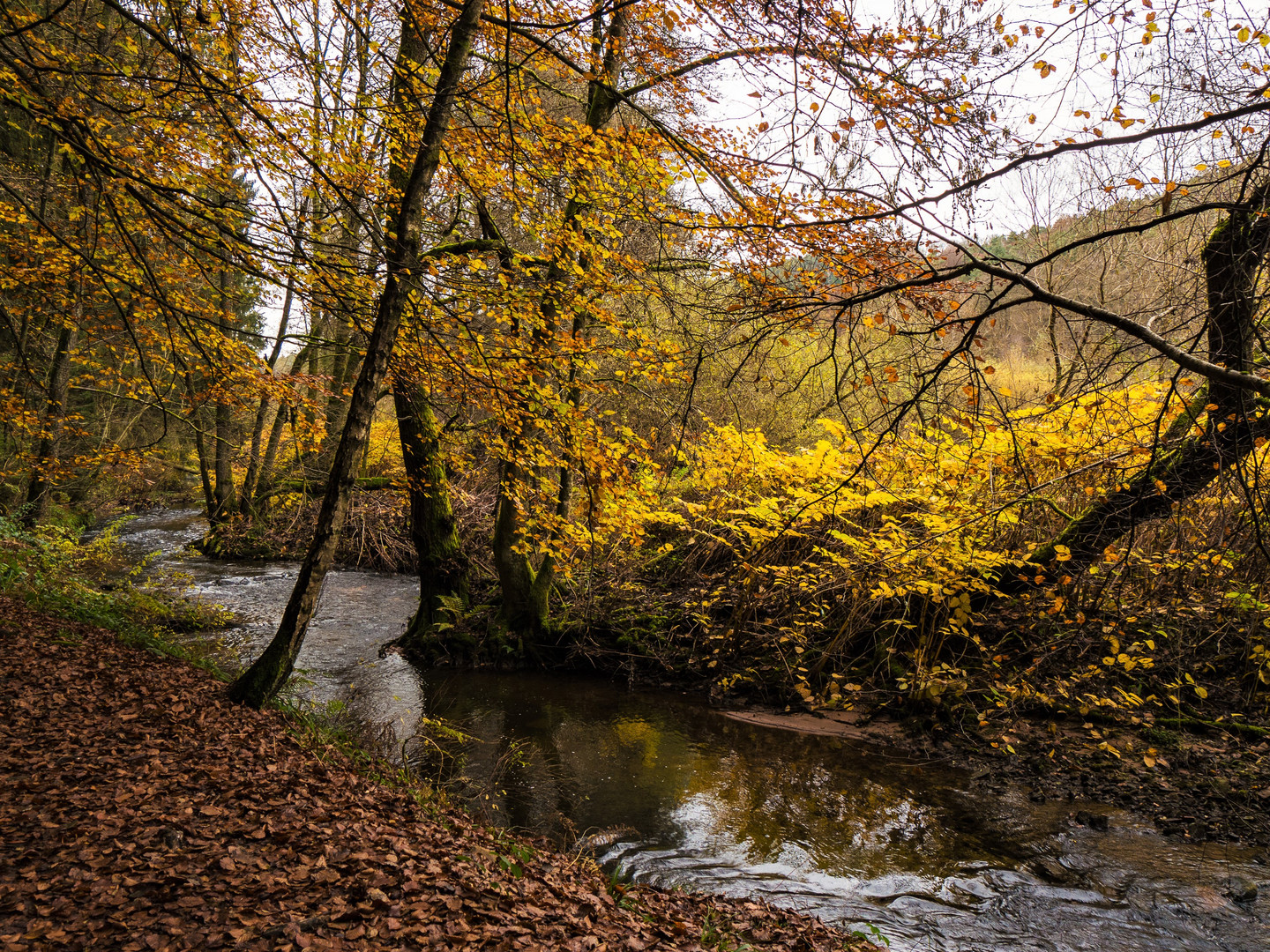 herbstliche Idylle bei Himmerod-Salm...