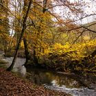 herbstliche Idylle bei Himmerod-Salm...