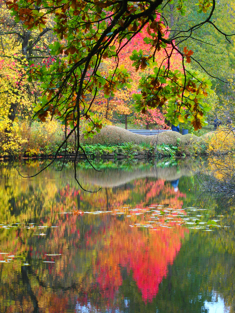 herbstliche Idylle (?)