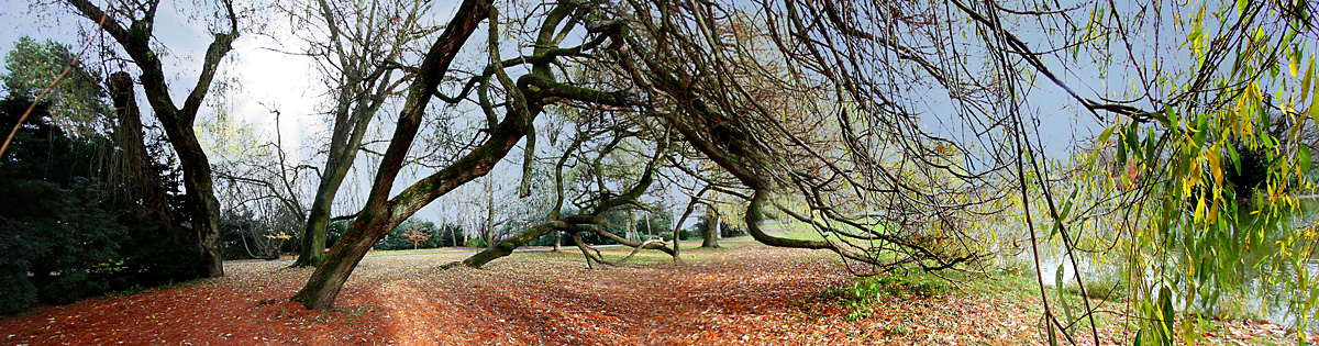 Herbstliche Idylle