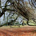 Herbstliche Idylle