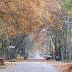 Herbstliche Idylle in Budapest