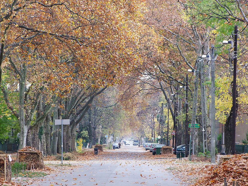 Herbstliche Idylle in Budapest