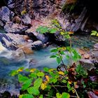 Herbstliche Idylle in der Klamm