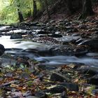 Herbstliche im Kalltal