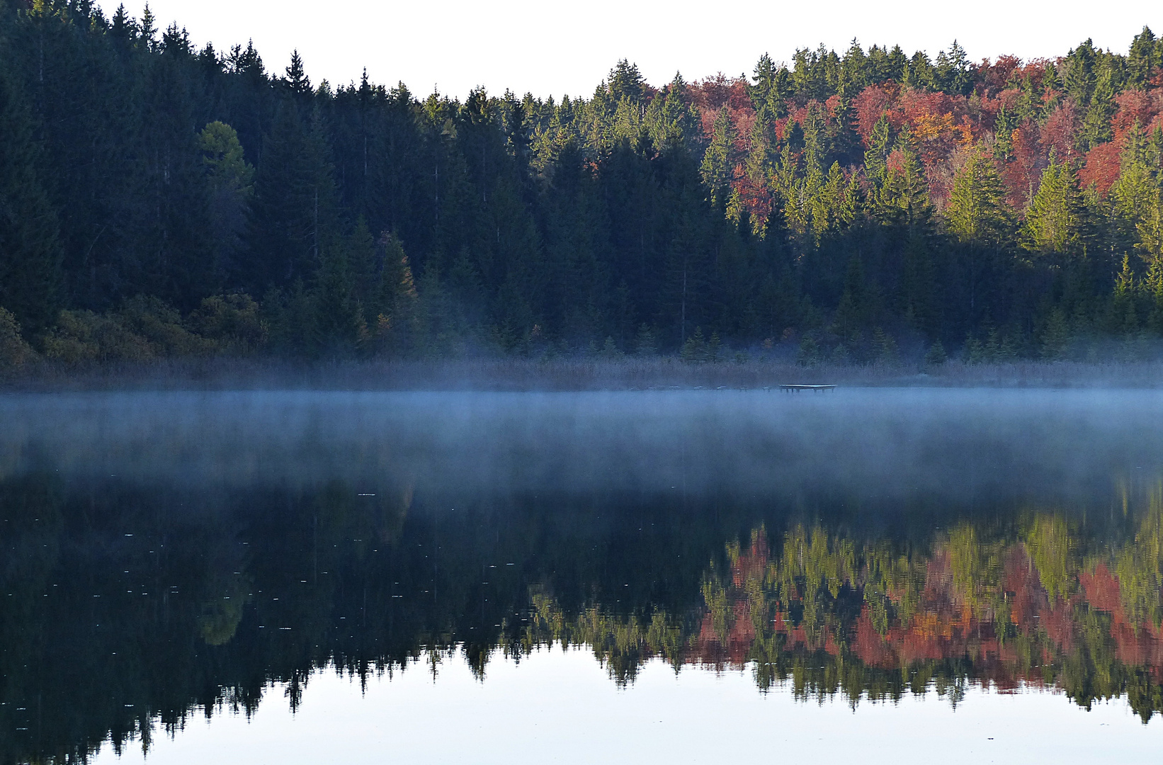 Herbstliche Impression 2