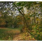 Herbstliche Impression (3)