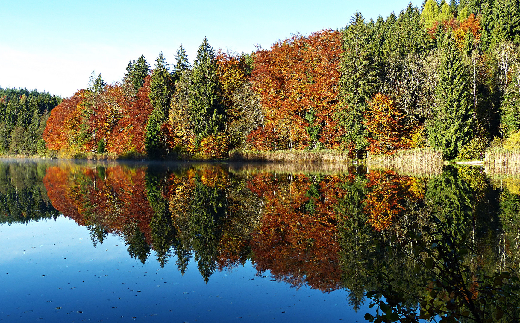 Herbstliche Impression 3