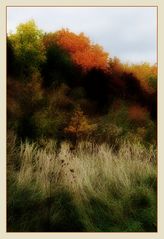 herbstliche Impression 3