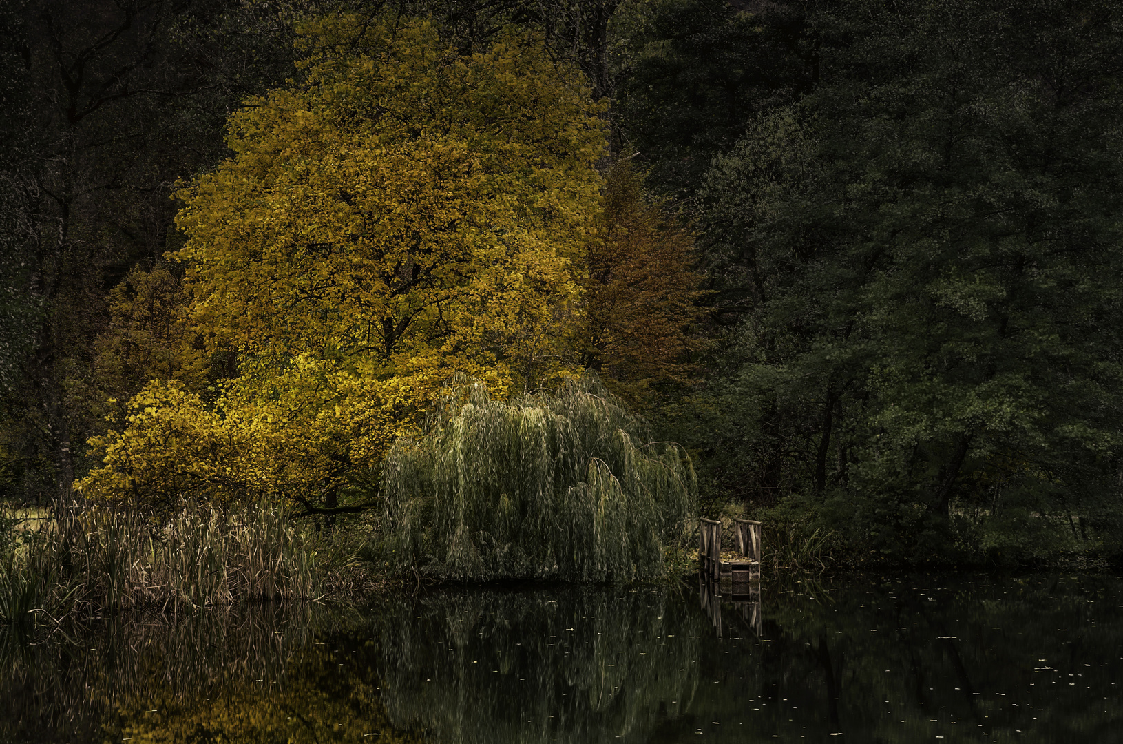 herbstliche Impression