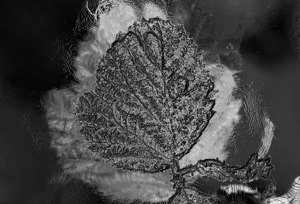 Herbstliche Impression... 