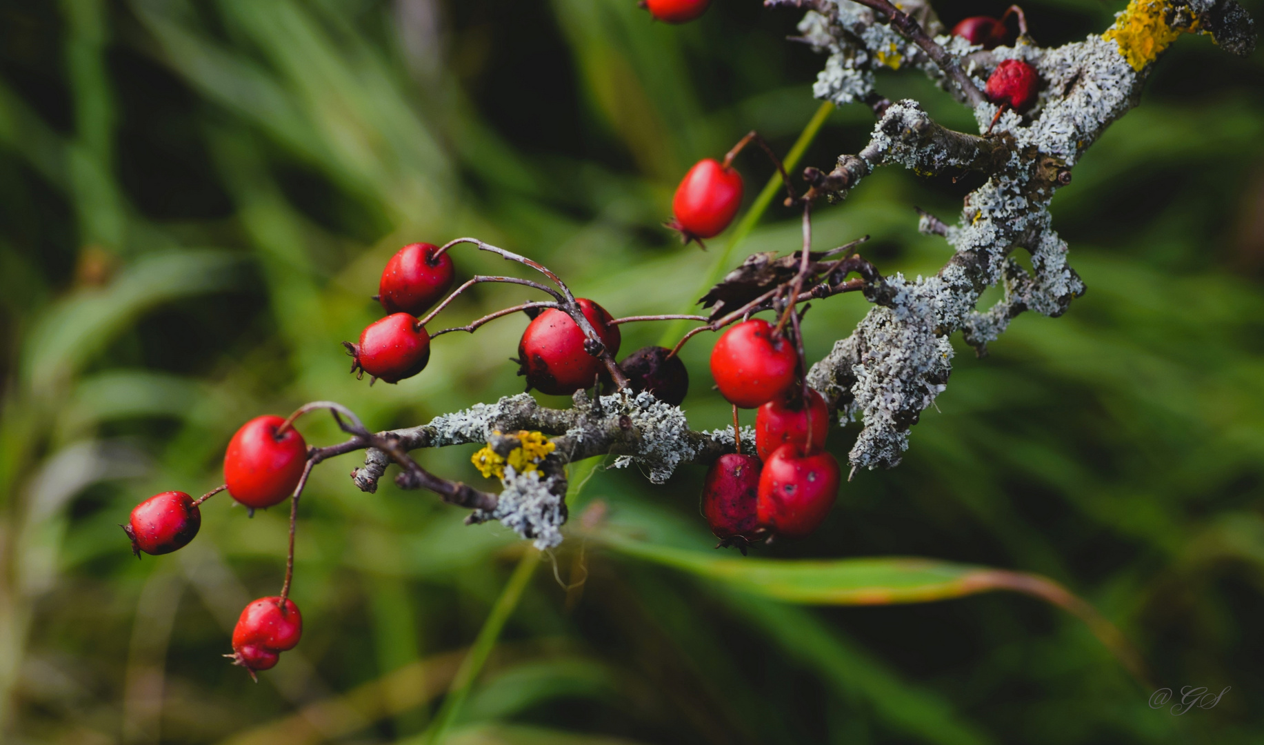 Herbstliche Impression