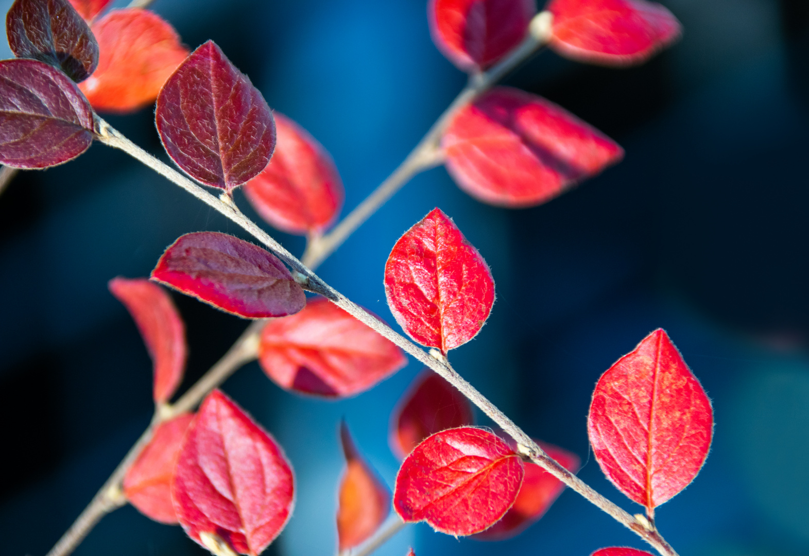 Herbstliche Impression