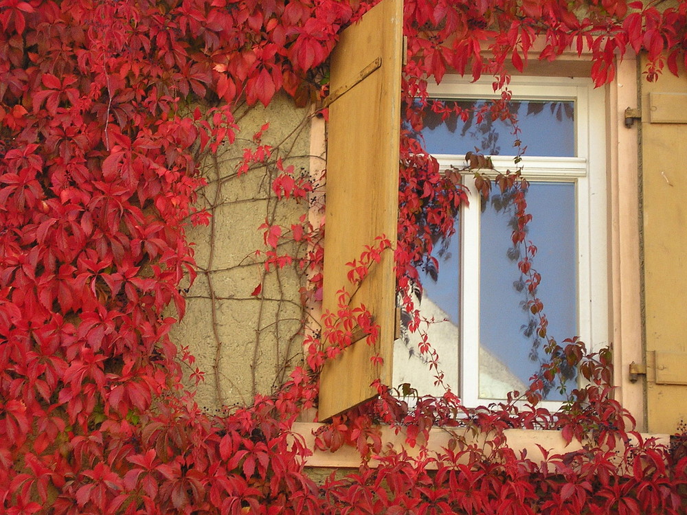 Herbstliche Impression