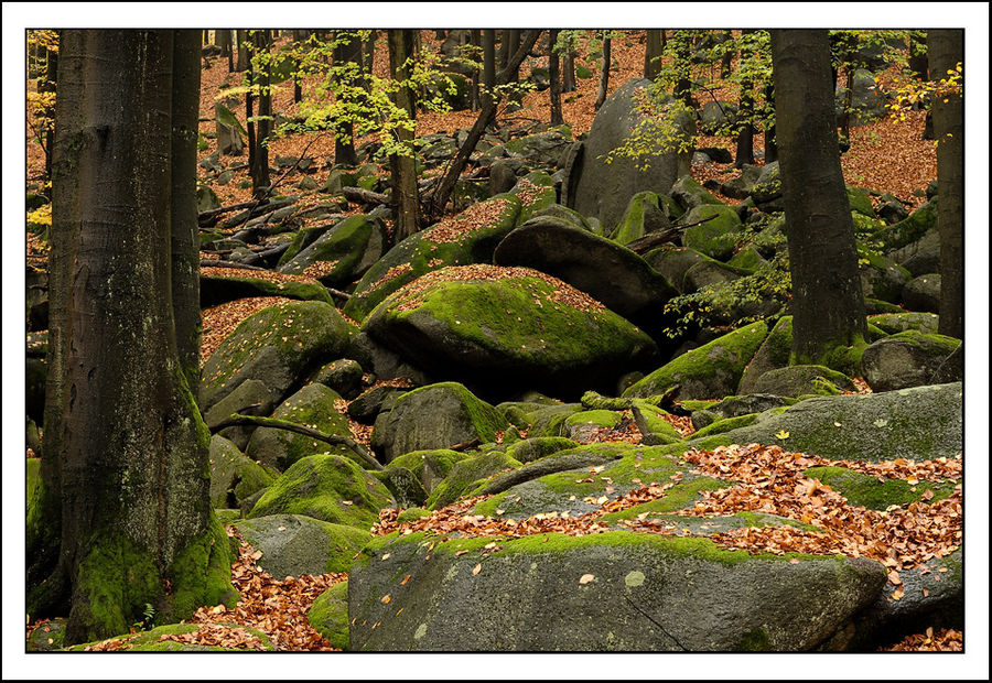 Herbstliche Impression