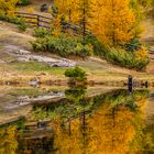 Herbstliche Impression am See