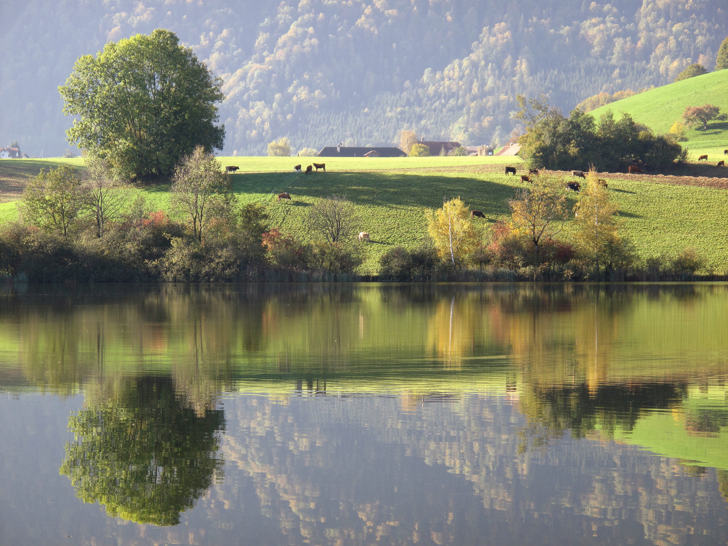 Herbstliche Impression am See