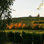 Herbstliche Impression an der Weinstraße - Blick zum Flaggenturm -