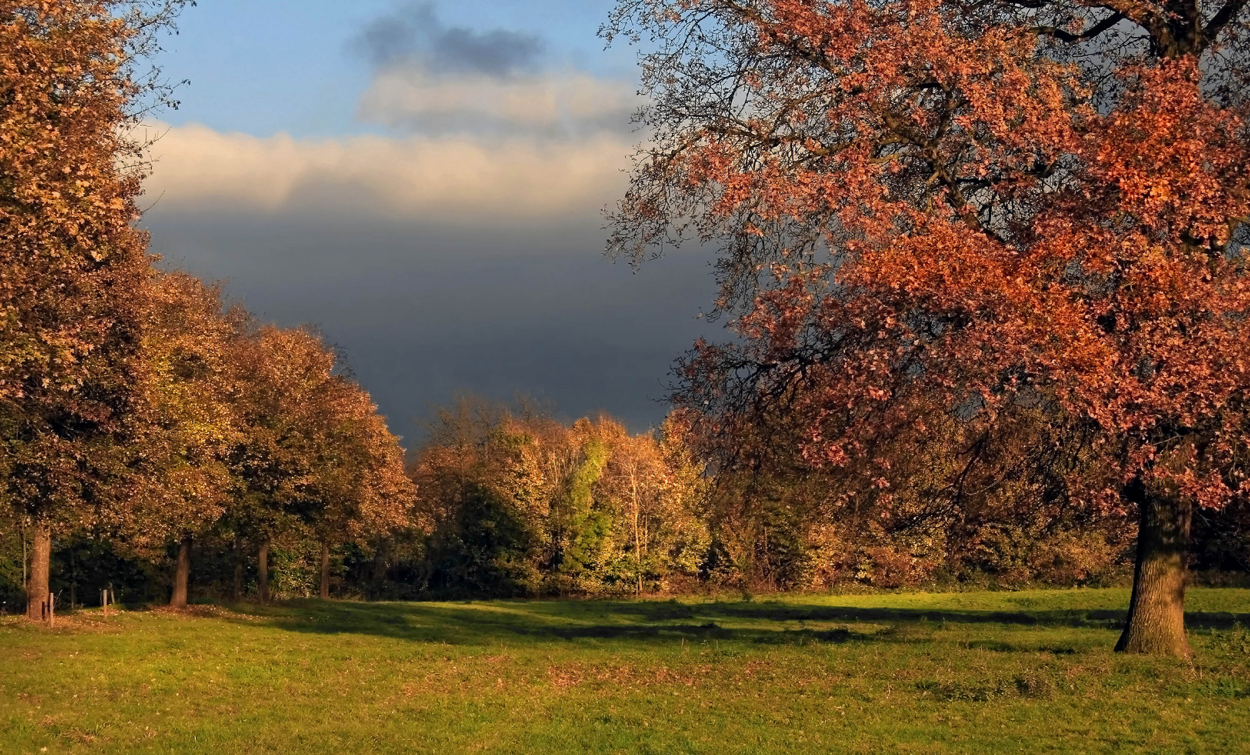 Herbstliche Impression