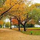 Herbstliche Impression in Hamburg an der Außenalster an der "Schönen Aussicht" 