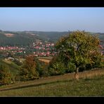 herbstliche Impressionen #04