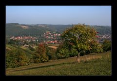 herbstliche Impressionen #04