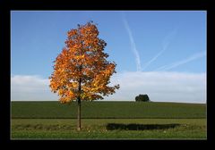 herbstliche Impressionen #06