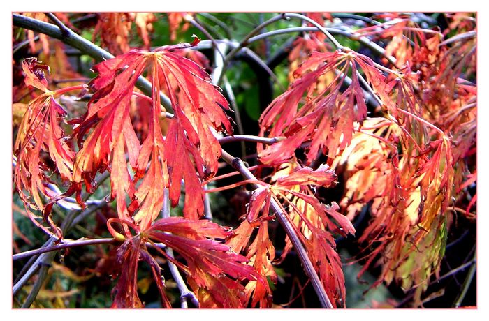 Herbstliche Impressionen