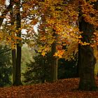 Herbstliche Impressionen